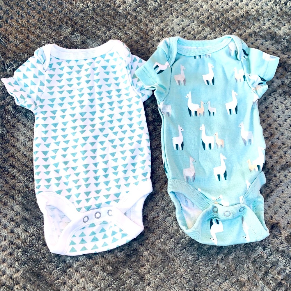 Llamas and Triangles 2pc. Set